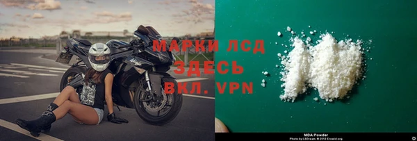 шишки Абаза