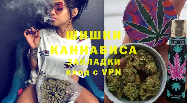 шишки Абаза