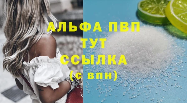 шишки Абаза