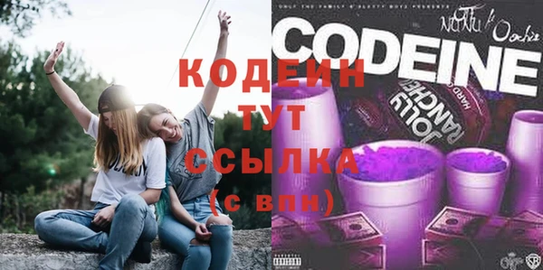 шишки Абаза