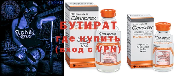 шишки Абаза