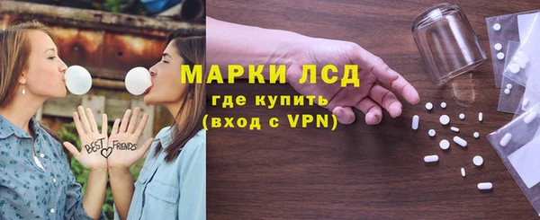 шишки Абаза