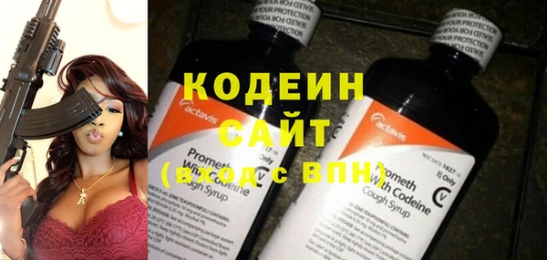 шишки Абаза