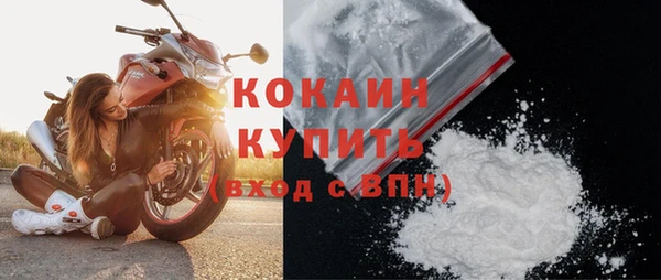 шишки Абаза