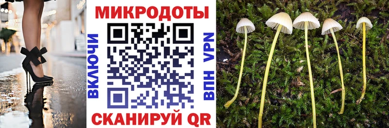Галлюциногенные грибы Psilocybine cubensis  купить   Миллерово 