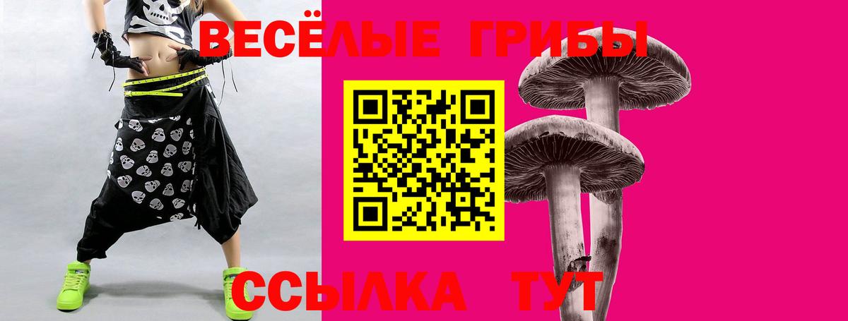 Миллерово  как найти наркотики  Вход с VPN  Псилоцибиновые грибы Psilocybine cubensis 